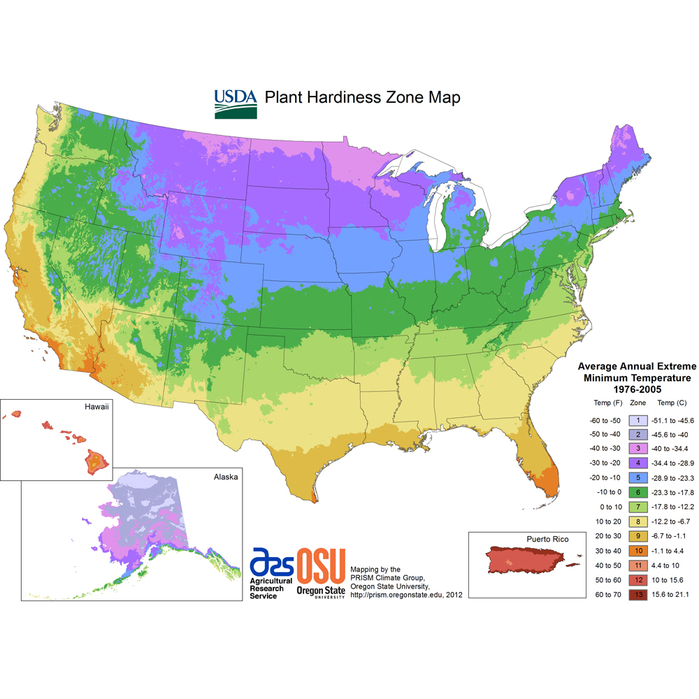 Zone Shipping & Planting Schedule