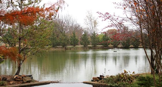 Behind the Scenes at Sooner Plant Farm