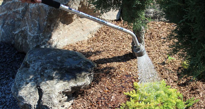Watering Basics Watering Basics