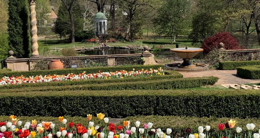 Spring 2023 Spring 2023