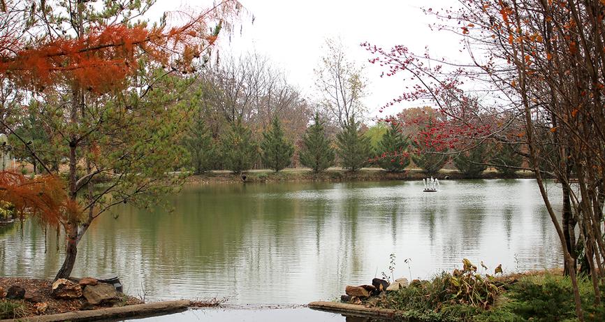 Behind the Scenes at Sooner Plant Farm