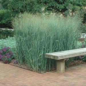 1394 units available! Pre-Order Qty: 0