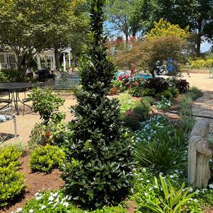 3 units available! Pre-Order Qty: 0