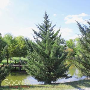 664 units available! Pre-Order Qty: 0