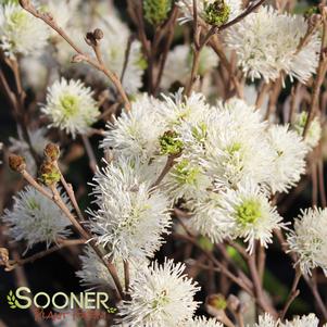 0 units available! Pre-Order Qty: 0