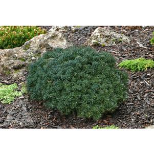 0 units available! Pre-Order Qty: 0