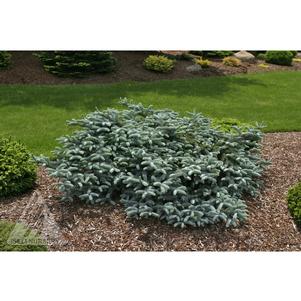 0 units available! Pre-Order Qty: 0