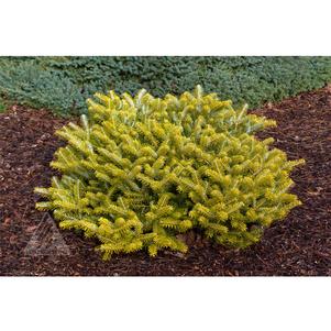 0 units available! Pre-Order Qty: 0