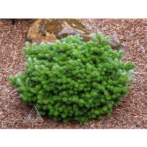 0 units available! Pre-Order Qty: 0