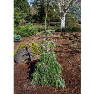 0 units available! Pre-Order Qty: 0