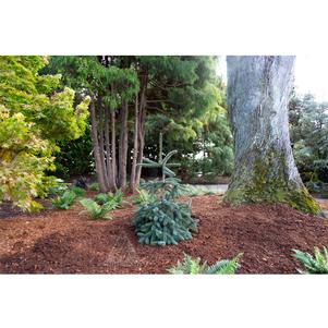 0 units available! Pre-Order Qty: 0