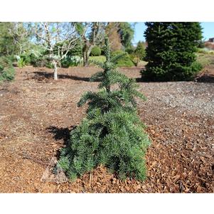 0 units available! Pre-Order Qty: 0