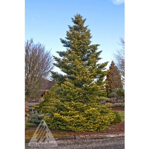 0 units available! Pre-Order Qty: 0