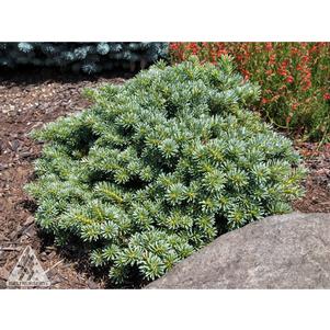 0 units available! Pre-Order Qty: 0