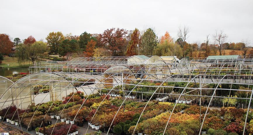 Nursery Preparation for Winter