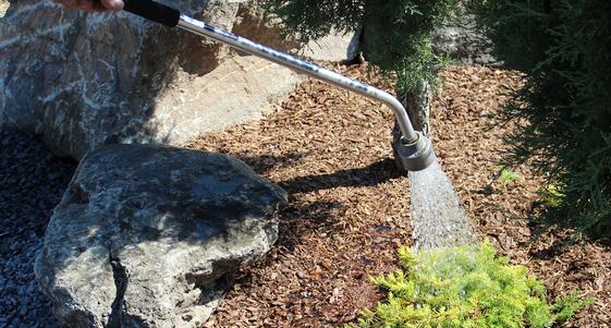 Watering Basics