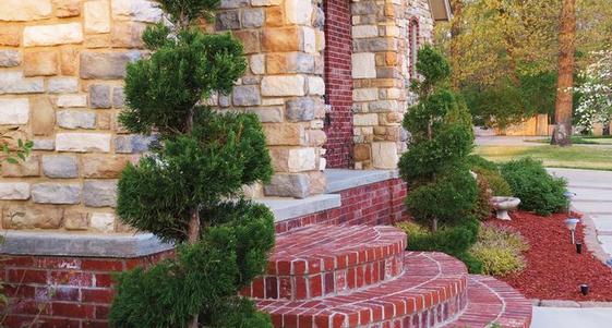 Winter watering basics