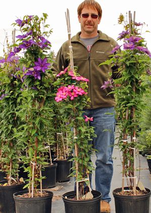Online Tree Shrubs And Plant Sales Guaranteed Quality