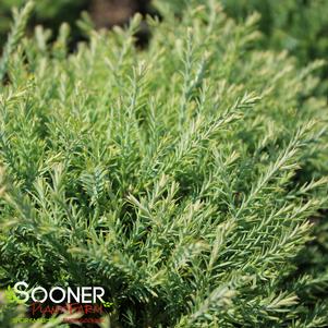 0 units available! Pre-Order Qty: 0