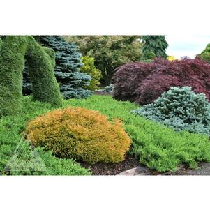 0 units available! Pre-Order Qty: 0