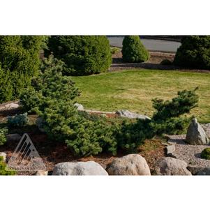 0 units available! Pre-Order Qty: 0