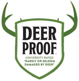 Proven Winners Deer Proof Collection