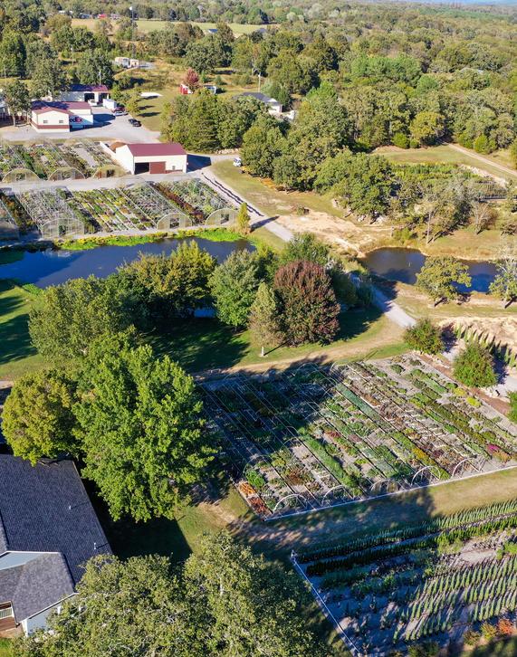 Sooner Plant Farm