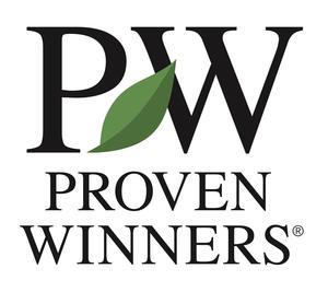 Proven Winners / Color Choice