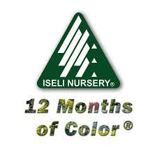 Iseli Nursery