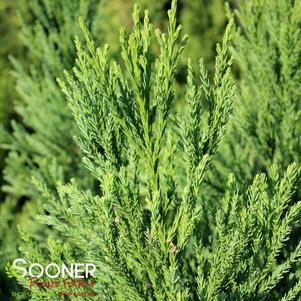 0 units available! Pre-Order Qty: 0