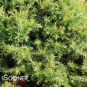 0 units available! Pre-Order Qty: 0