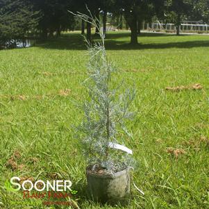 0 units available! Pre-Order Qty: 0