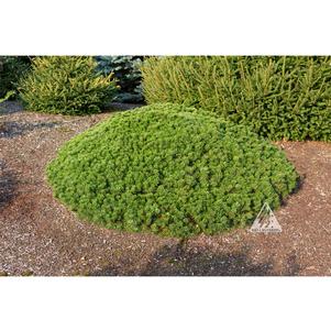 0 units available! Pre-Order Qty: 0