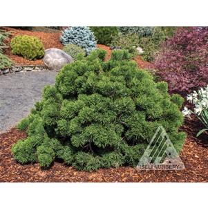 0 units available! Pre-Order Qty: 0