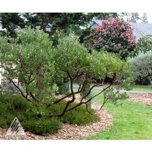 0 units available! Pre-Order Qty: 0