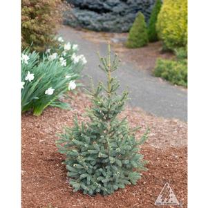 0 units available! Pre-Order Qty: 0