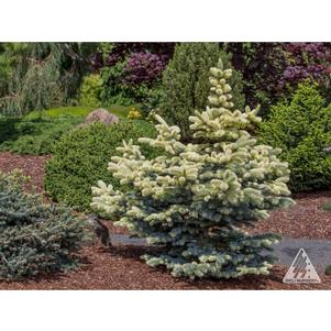 0 units available! Pre-Order Qty: 0