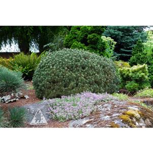 0 units available! Pre-Order Qty: 0