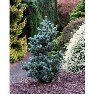 0 units available! Pre-Order Qty: 0